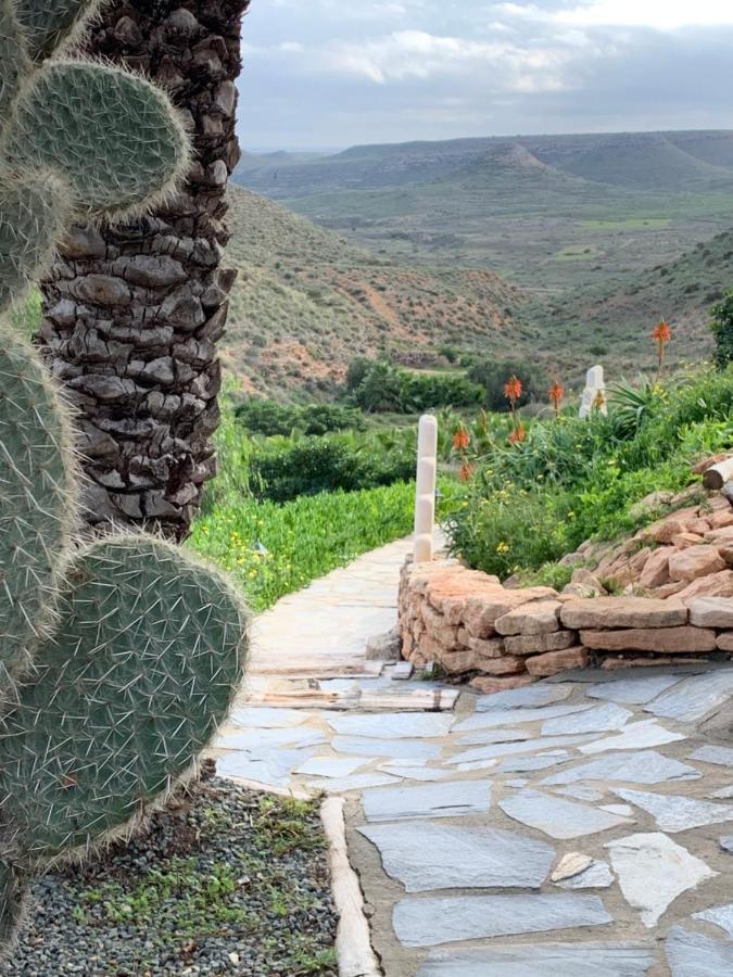 Hotel La Almendra Y El Gitano Agua Amarga (Almeria)