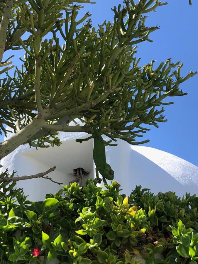 La Almendra Y El Gitano Hotel Agua Amarga (Almeria)